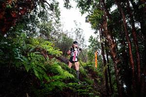 BIB: 
                            <button type="button" onclick="openModal(26205393)" class="btn btn-primary btn-sm float-right btn-popup" data-toggle="modal" data-target=".modal-high-quality">
                        <i class="fas fa-shopping-cart"></i> Add to Cart
                    </button>
                                            <button type="button" onclick="isThisMe(26205393, true)" class="btn btn-success btn-sm float-right btn-popup btn-isme hidden" data-toggle="tooltip" data-placement="bottom" title="นี่คือรูปของคุณใช่ไหม คลิกที่นี่เพื่อเอาเข้าอัลบั้ม">
                        <i class="fas fa-plus"></i> Add to album
                    </button>
                    <button type="button" onclick="isThisMe(26205393, false)" class="btn btn-warning btn-sm float-right btn-popup btn-isnotme hidden">
                        <i class="fas fa-ban"></i> Remove from album
                    </button>